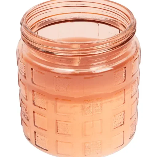 Merk Tuindecoratie>Citronellakaars In Pot