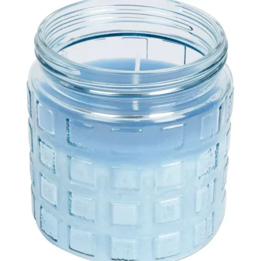 Merk Tuindecoratie>Citronellakaars In Pot