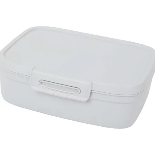 Curver Bewaren & Meenemen> Lunchbox Met Divider